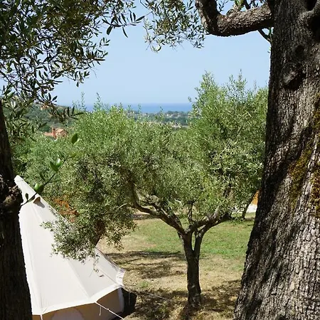 Luxury tent Salitre